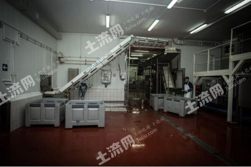 俄罗斯大型现代化肉类加工厂整体转让与技术合作项目