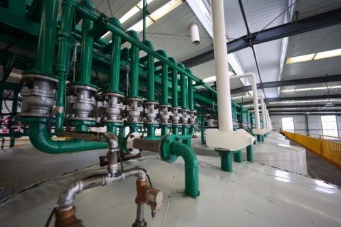 英莱壳智慧工厂 超凡技术全解密与技术转让新机遇